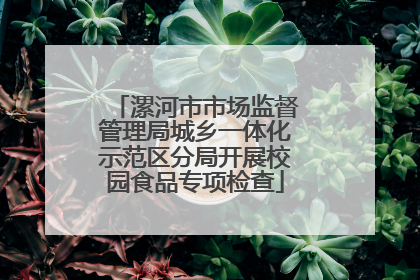 漯河市市场监督管理局城乡一体化示范区分局开展校园食品专项检查