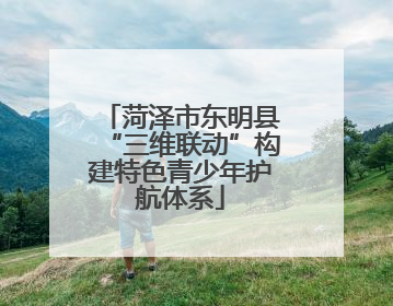 菏泽市东明县“三维联动”构建特色青少年护航体系