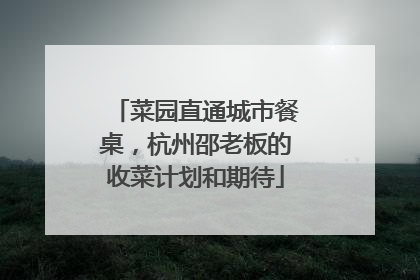 菜园直通城市餐桌，杭州邵老板的收菜计划和期待