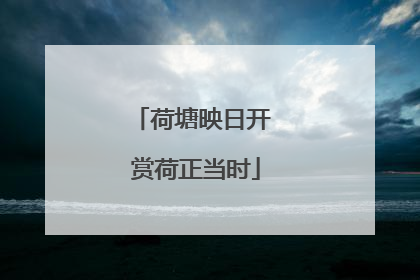 荷塘映日开 赏荷正当时