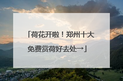 荷花开啦！郑州十大免费赏荷好去处→