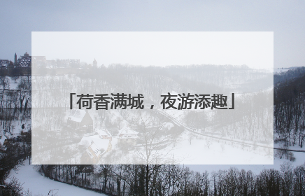 荷香满城，夜游添趣