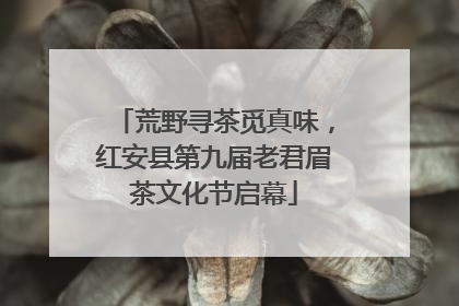 荒野寻茶觅真味，红安县第九届老君眉茶文化节启幕