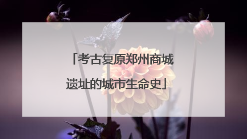 考古复原郑州商城遗址的城市生命史