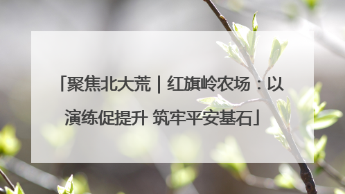 聚焦北大荒｜红旗岭农场：以演练促提升 筑牢平安基石