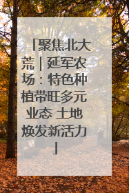 聚焦北大荒｜延军农场：特色种植带旺多元业态 土地焕发新活力