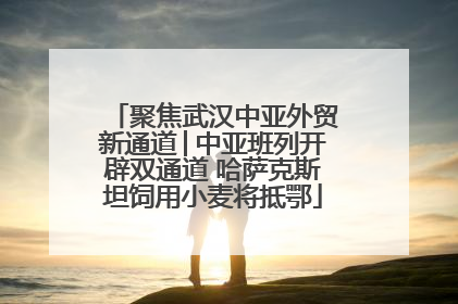 聚焦武汉中亚外贸新通道│中亚班列开辟双通道 哈萨克斯坦饲用小麦将抵鄂