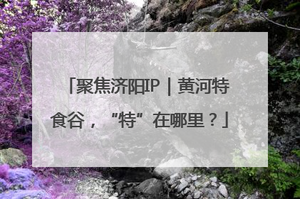 聚焦济阳IP｜黄河特食谷，“特”在哪里？