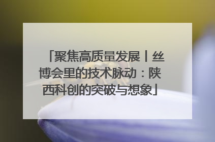 聚焦高质量发展丨丝博会里的技术脉动：陕西科创的突破与想象