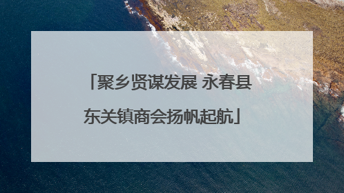 聚乡贤谋发展 永春县东关镇商会扬帆起航