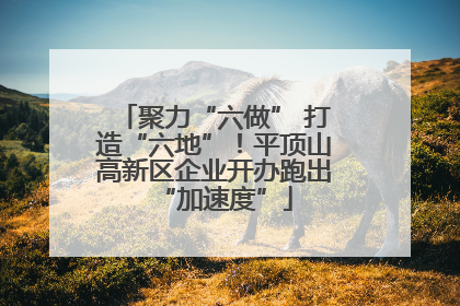 聚力“六做” 打造“六地”！平顶山高新区企业开办跑出“加速度”
