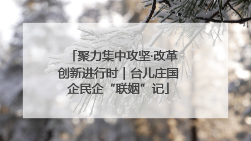 聚力集中攻坚·改革创新进行时｜台儿庄国企民企“联姻”记