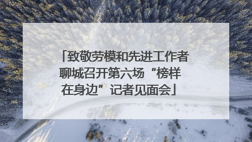 致敬劳模和先进工作者 聊城召开第六场“榜样在身边”记者见面会