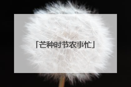 芒种时节农事忙