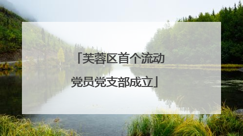 芙蓉区首个流动党员党支部成立