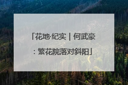 花地·纪实｜何武豪：繁花院落对斜阳