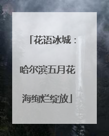 花语冰城：哈尔滨五月花海绚烂绽放