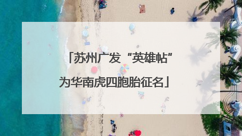 苏州广发“英雄帖”为华南虎四胞胎征名