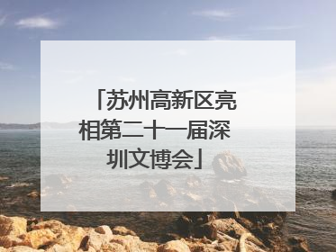 苏州高新区亮相第二十一届深圳文博会