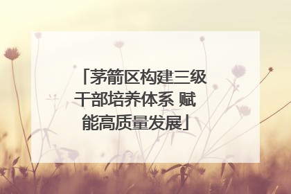 茅箭区构建三级干部培养体系 赋能高质量发展