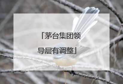 茅台集团领导层有调整