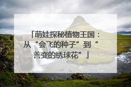 萌娃探秘植物王国：从“会飞的种子”到“善变的绣球花”