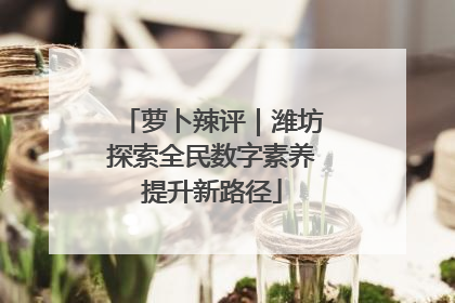 萝卜辣评｜潍坊探索全民数字素养提升新路径