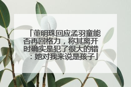 董明珠回应孟羽童能否再回格力，称其离开时确实是犯了很大的错：她对我来说是孩子