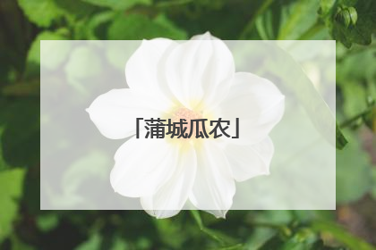 蒲城瓜农