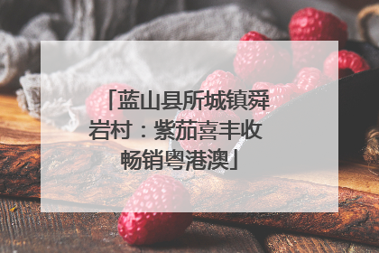 蓝山县所城镇舜岩村：紫茄喜丰收 畅销粤港澳