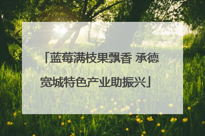 蓝莓满枝果飘香 承德宽城特色产业助振兴