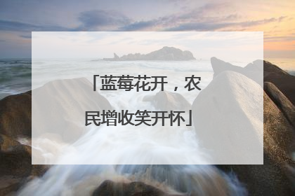 蓝莓花开，农民增收笑开怀