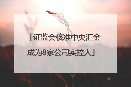 证监会核准中央汇金成为8家公司实控人