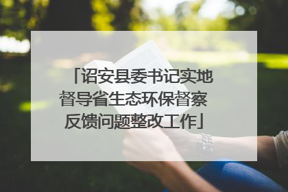诏安县委书记实地督导省生态环保督察反馈问题整改工作