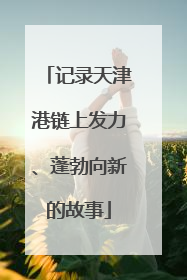 记录天津港链上发力、蓬勃向新的故事