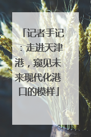 记者手记：走进天津港，窥见未来现代化港口的模样