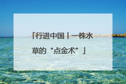 行进中国丨一株水草的“点金术”