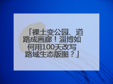 裸土变公园、道路成画廊！淄博如何用100天改写路域生态版图？