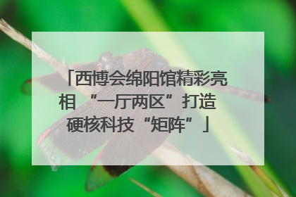 西博会绵阳馆精彩亮相 “一厅两区”打造硬核科技“矩阵”