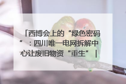 西博会上的“绿色密码”：四川唯一电网拆解中心让废旧物资“重生”｜西博寻“新”记