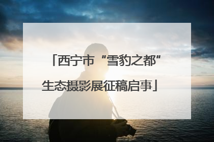 西宁市“雪豹之都”生态摄影展征稿启事