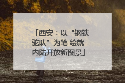 西安：以“钢铁驼队”为笔 绘就内陆开放新图景