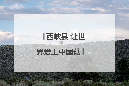 西峡县 让世界爱上中国菇