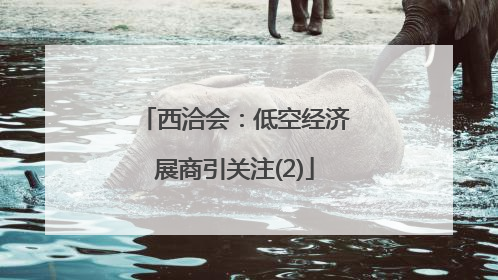 西洽会：低空经济展商引关注(2)