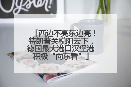 西边不亮东边亮！特朗普关税阴云下，德国最大港口汉堡港积极“向东看”