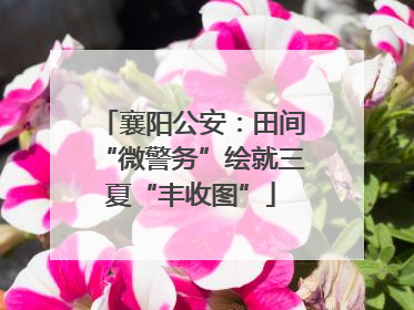 襄阳公安：田间“微警务”绘就三夏“丰收图”