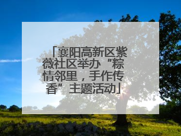 襄阳高新区紫薇社区举办“粽情邻里，手作传香”主题活动