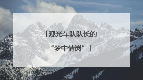 观光车队队长的“梦中情岗”