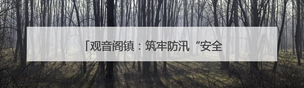 观音阁镇：筑牢防汛“安全堤” 打好抗洪“主动仗”