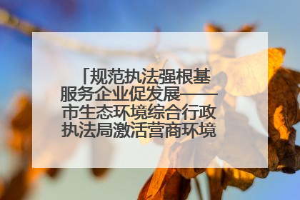 规范执法强根基 服务企业促发展——市生态环境综合行政执法局激活营商环境“绿色动能”